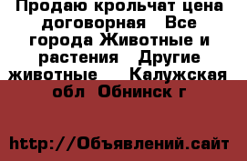 Продаю крольчат цена договорная - Все города Животные и растения » Другие животные   . Калужская обл.,Обнинск г.